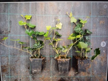 Image 17 02 202511 46 22 70